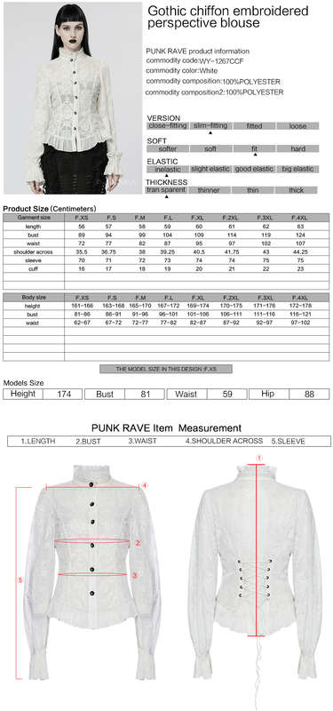 Chiffon Embroidered Perspective Blouse