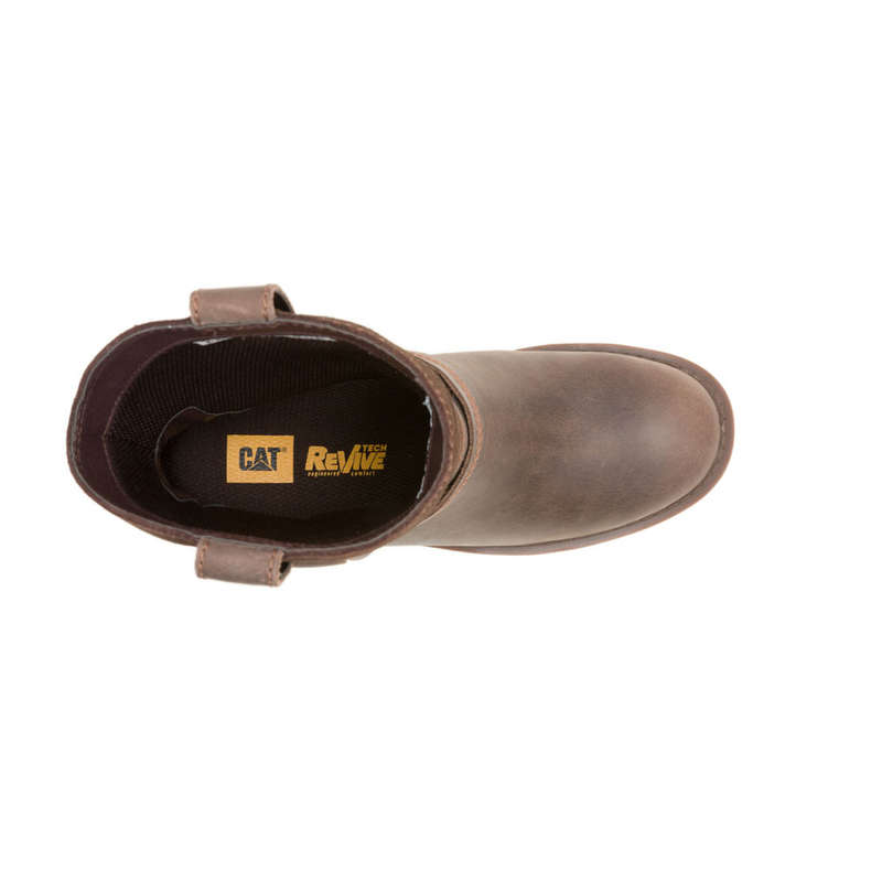 CAT REWRITE HARNESS - Coffee Bean