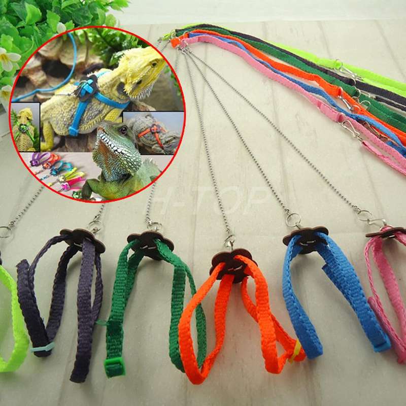 Adjustable Pet Reptile Birds Lizard Harness Leashes Adjustable Multicolor Lead