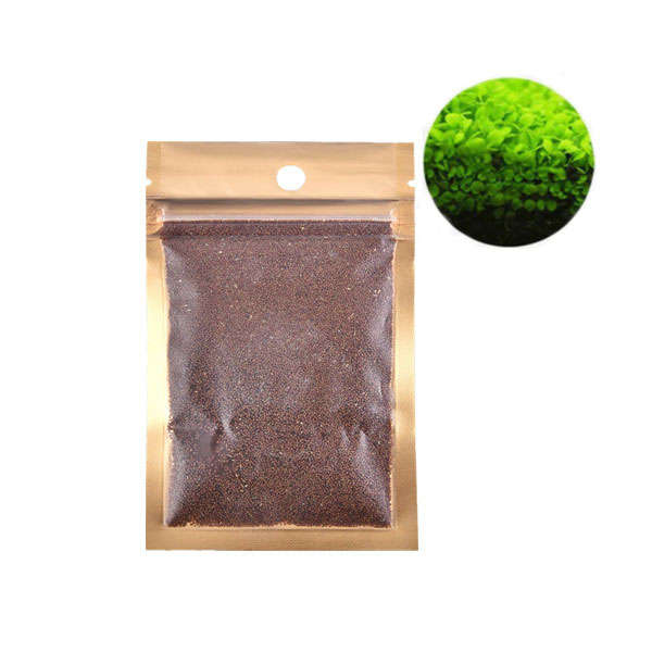 Yani  Aquatic Double Leaf Plant Seeds Aquarium Plant Seeds Aquarium Fish Tank D