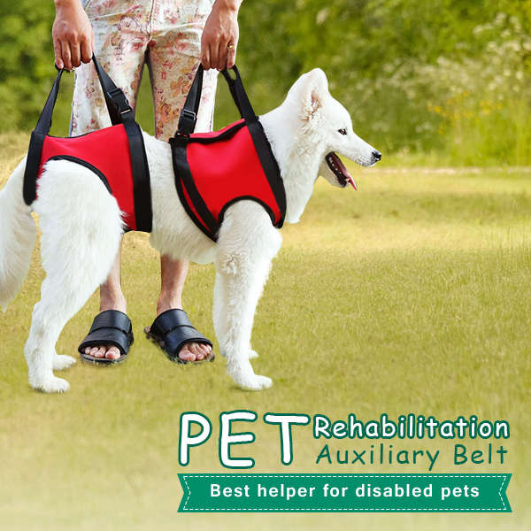 Pet Auxiliary Belt Dog Harness Carriers Assist Sling Portable Lift Security Sup