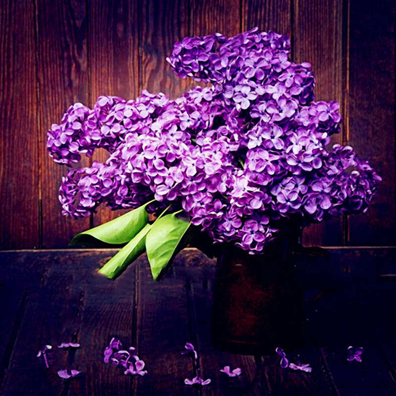 Egrow 100Pcs/Pack Japanese Lilac Clove Seeds Garden Perennial Flowers Aromatic