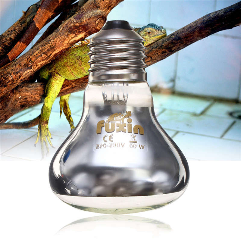 E27 25/40/50/60/75/100W R63 Amphibian UVA Halogen Lamp Heat Reptile Light Bulb