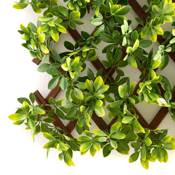 Tropical Yellow Leaf Expandable Lattice