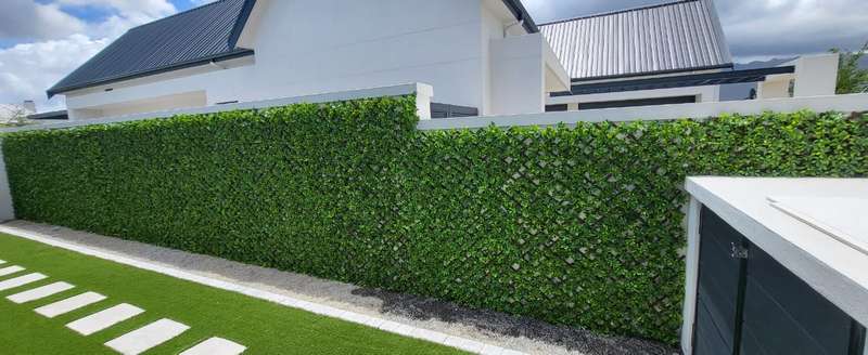 Tropical Yellow Leaf Expandable Lattice