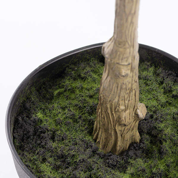 Ficus Elastica 1000mm H