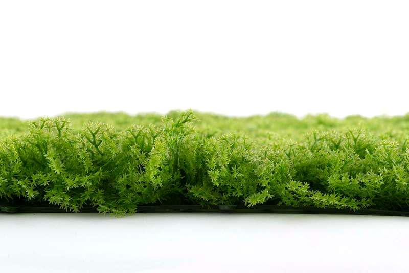 Moss Panel 1 m x 1 m