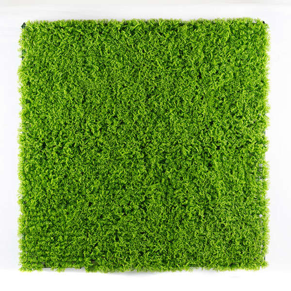 Moss Panel 1 m x 1 m