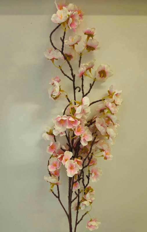 Pink Cherry Blossom Branch