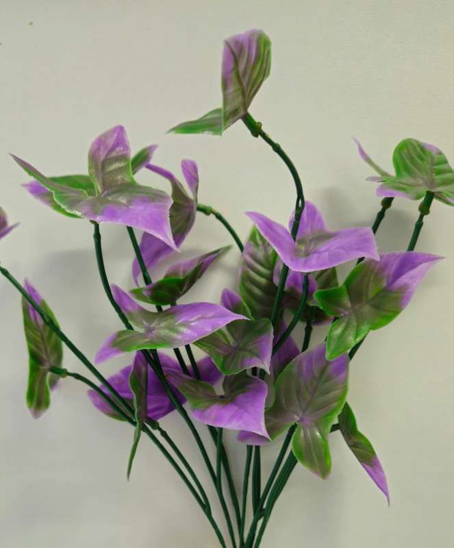 Purple Stem