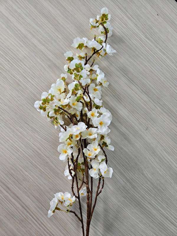 Yellow Cherry Blossom Branch