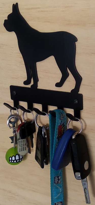 Eboy Steel Boxer Key Rack or Leash Hanger - 5 Hooks - Black