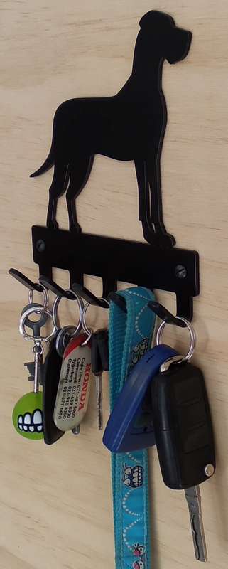 Eboy Steel Great Dane Key Rack or Leash Hanger - 5 Hooks - Black