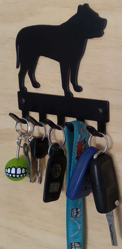 Eboy Steel Pitbull Key Rack or Leash Hanger - 5 Hooks - Black