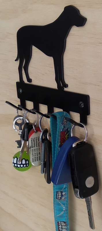 Eboy Steel Ridgeback Key Rack or Leash Hanger - 5 Hooks - Black