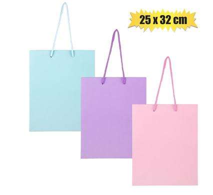 Gift-Bag Metallic Paper Lrg 25X32Cm Sol