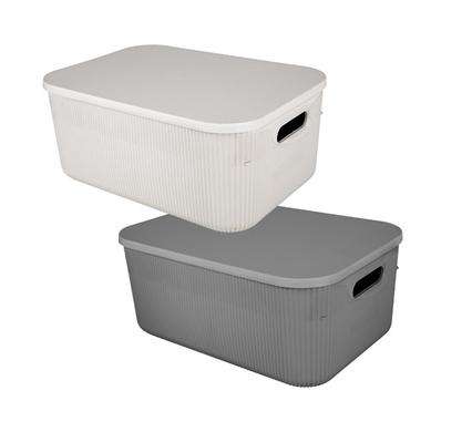Storage Box Clear 15L 22X42X17Cm