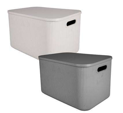 Storage Box Clear Go2 5.5L 26X20X16Cm