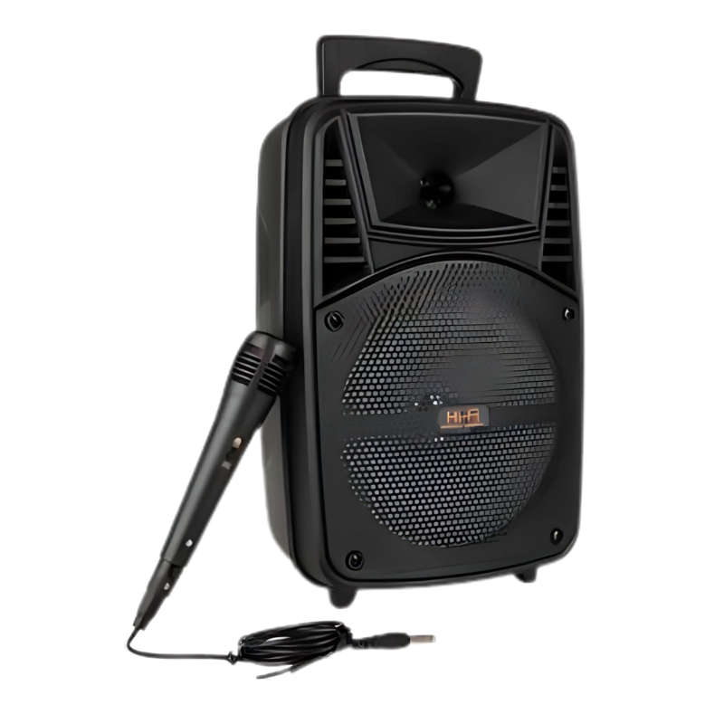 Wireless Speaker 37Cm + Mic And Remote