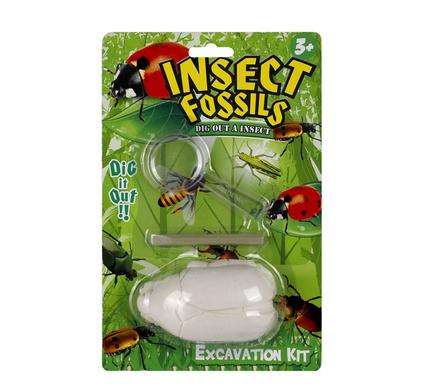 Edu Excavation Insect Fossil Kit Asstd