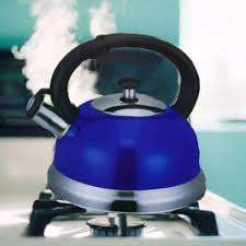 2.5 Litres whistiling kettle