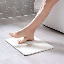 Bath Mat Diatom Mud