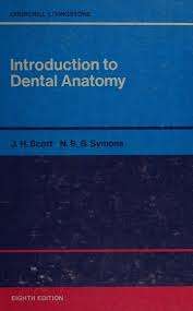 Introduction To Dental Anatomy