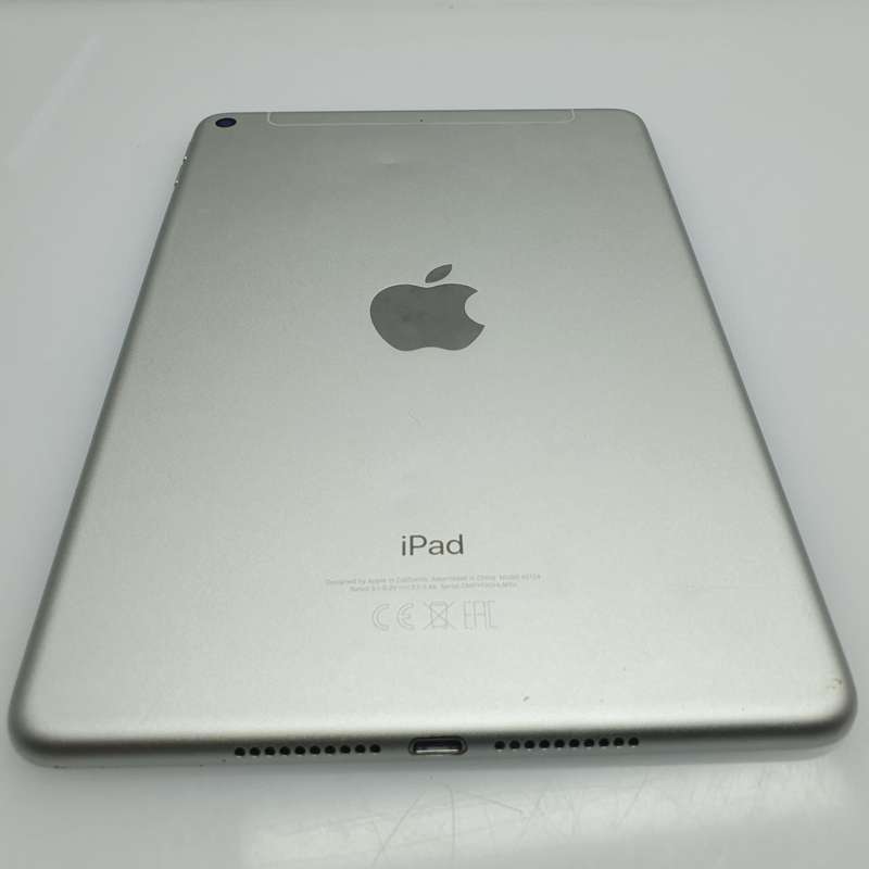 iPad Mini 5th Gen (WiFi and Cellular) 256GB No Touch ID Silver