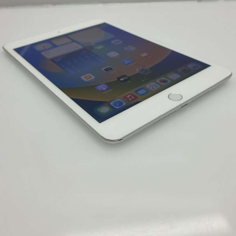 iPad Mini 5th Gen (WiFi and Cellular) 256GB No Touch ID Silver
