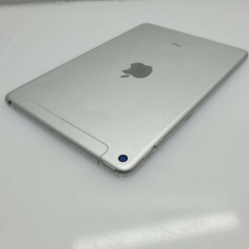 iPad Mini 5th Gen (WiFi and Cellular) 256GB No Touch ID Silver