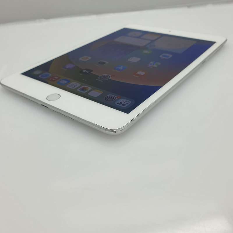 iPad Mini 5th Gen (WiFi and Cellular) 256GB No Touch ID Silver