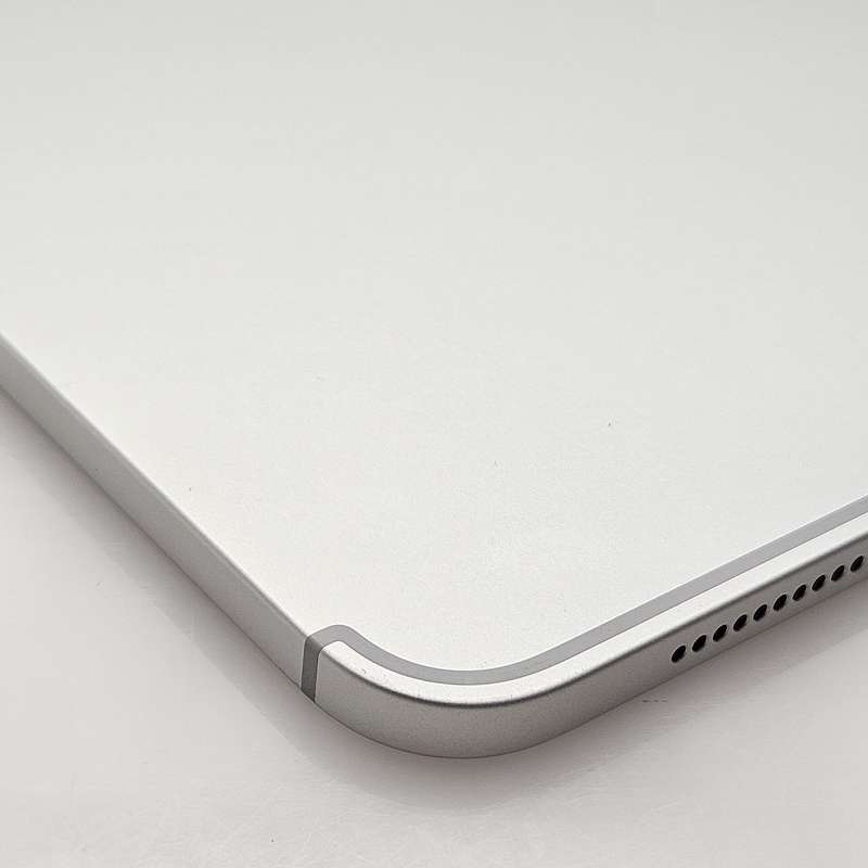 iPad 11" A16 (WiFi/Cellular) 256GB Silver (6 Month Warranty) - Mint Condition