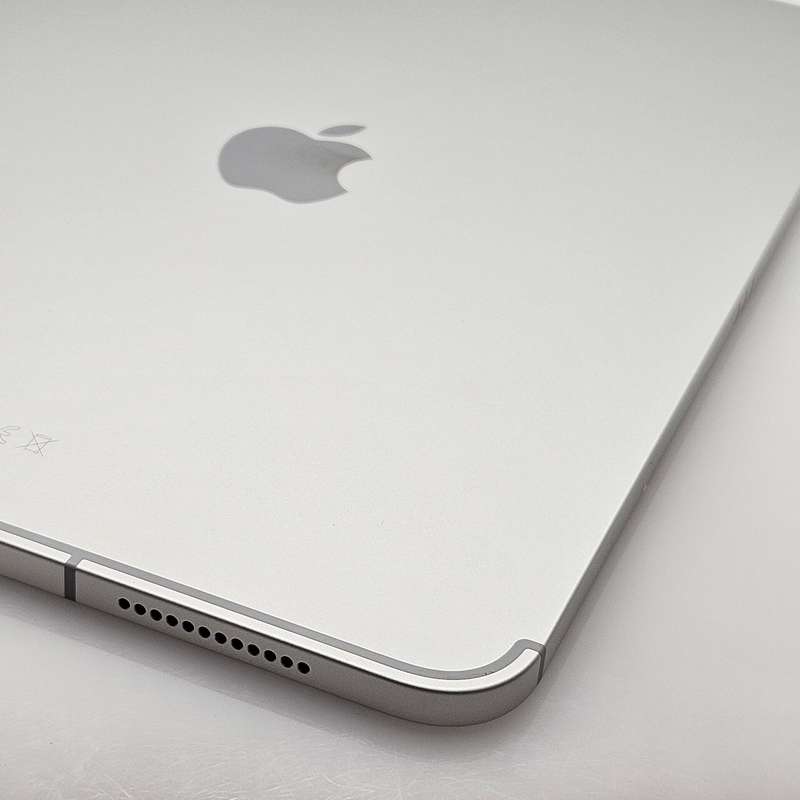 iPad 11" A16 (WiFi/Cellular) 256GB Silver (6 Month Warranty) - Mint Condition