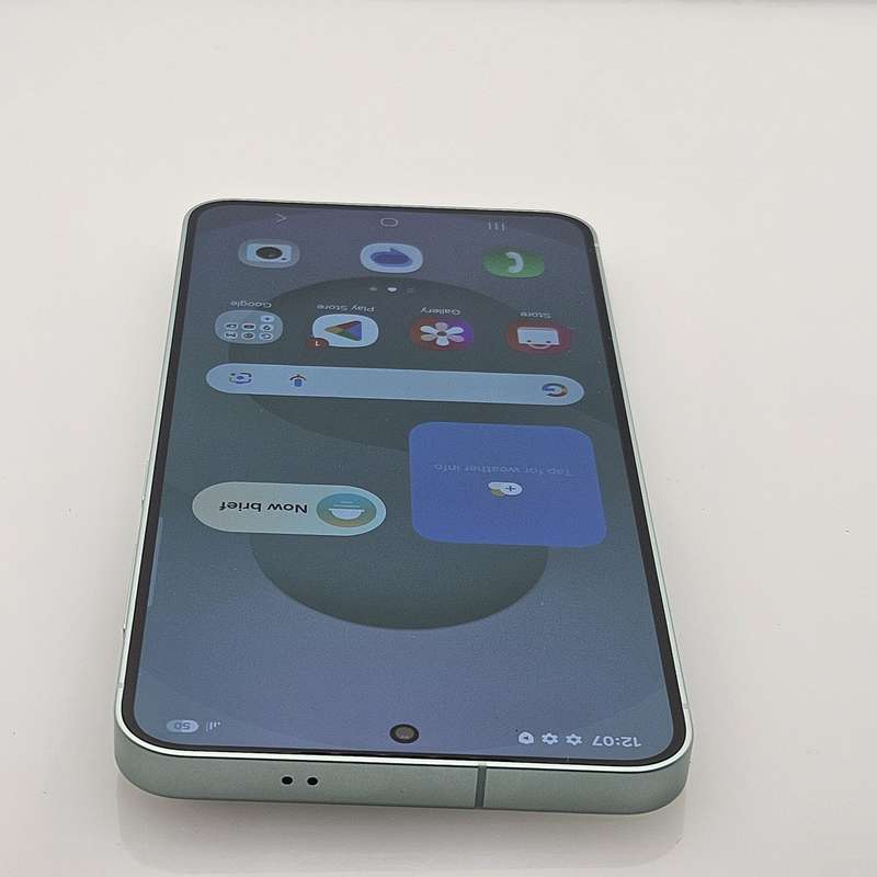 Samsung Galaxy S25 256GB Dual Sim Mint Green (12 Month Warranty)  Mint Condition