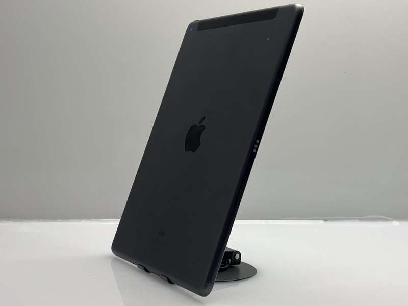 iPad 10.2 9th Gen 256GB (Wifi/Cellular) No Touch ID And Bright Spots Space Gray