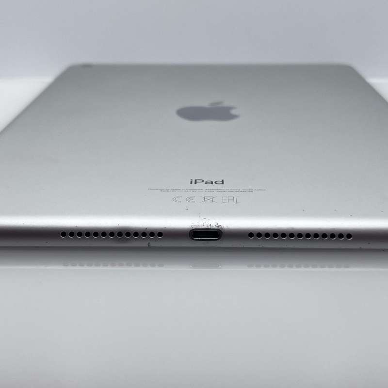 iPad 10.2" 9th Gen 64GB (Wifi Only) No Touch ID| LCD Burn Silver (3 Month Warranty)