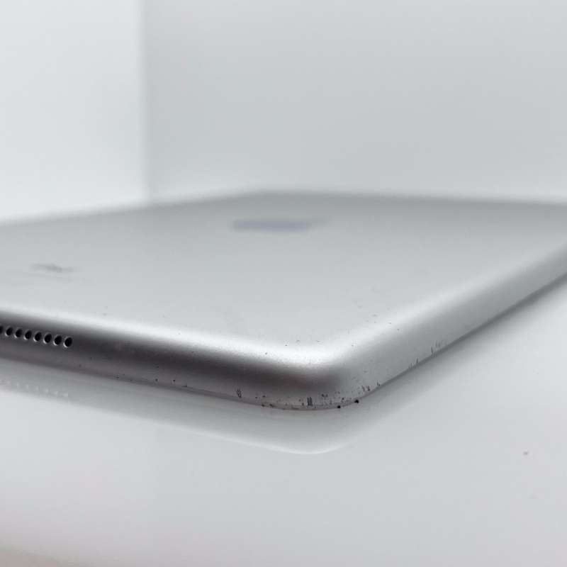 iPad 10.2" 9th Gen 64GB (Wifi Only) No Touch ID| LCD Burn Silver (3 Month Warranty)