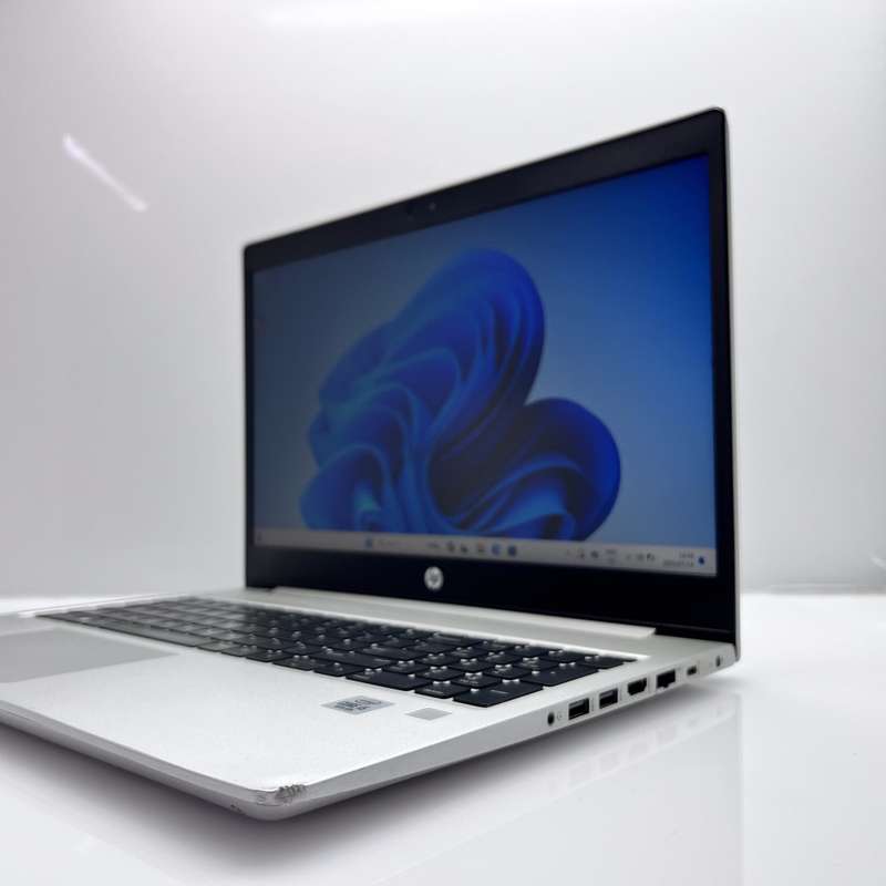 HP ProBook 450 G7 8GB RAM 256GB SSD Silver (3 Month Warranty) - Bright Spots