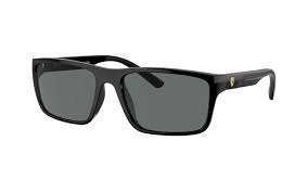 Ferrari Fz6003u Polarized