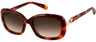 Pierre Cardin Pc8373/s