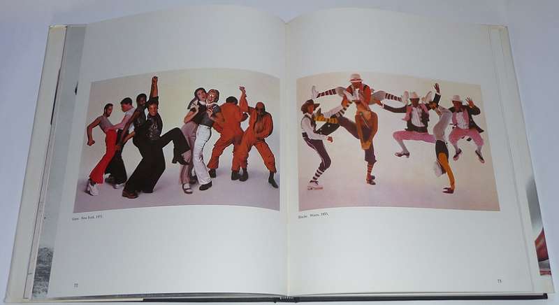 Jungle Fever (the cult classic NYC art book)