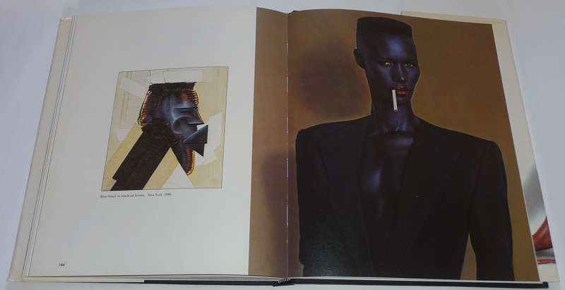 Jungle Fever (the cult classic NYC art book)