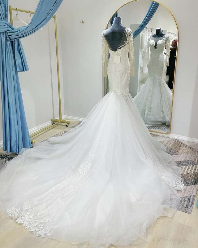 (Rental) Zara Long Sleeves Beaded Lace Mermaid Dress.
