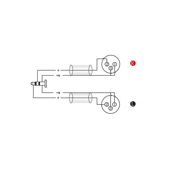ROXTONE - SMART SERIES SIGNAL LEAD 3.5 M ST  2 XLR M 3M