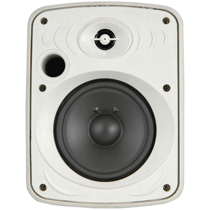 ADASTRA - FC5V-W 100V BACKGROUND SPEAKER 5.25in, WHITE