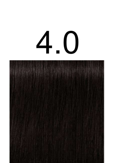 Igora Royal Professional -60ml +60ml 20vol developer - 4.0