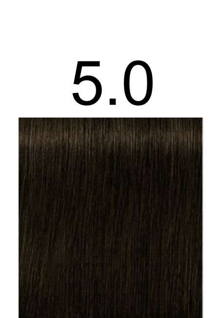 Igora Royal Professional -60ml +60ml 20vol developer - 5.0