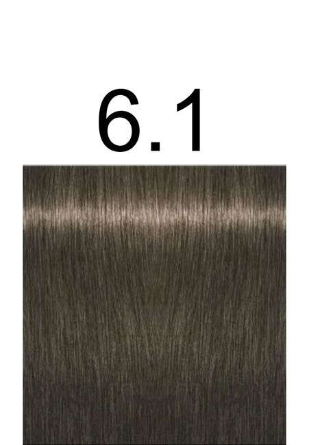 Igora Royal Professional -60ml +60ml 20vol developer - 6.1