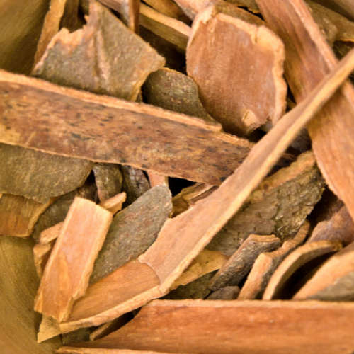 Cinnamon Bark Essential Oil - 10ml