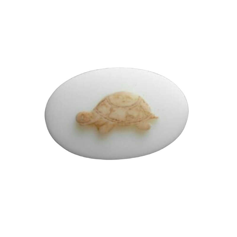 Tortoise Silicone Mould
